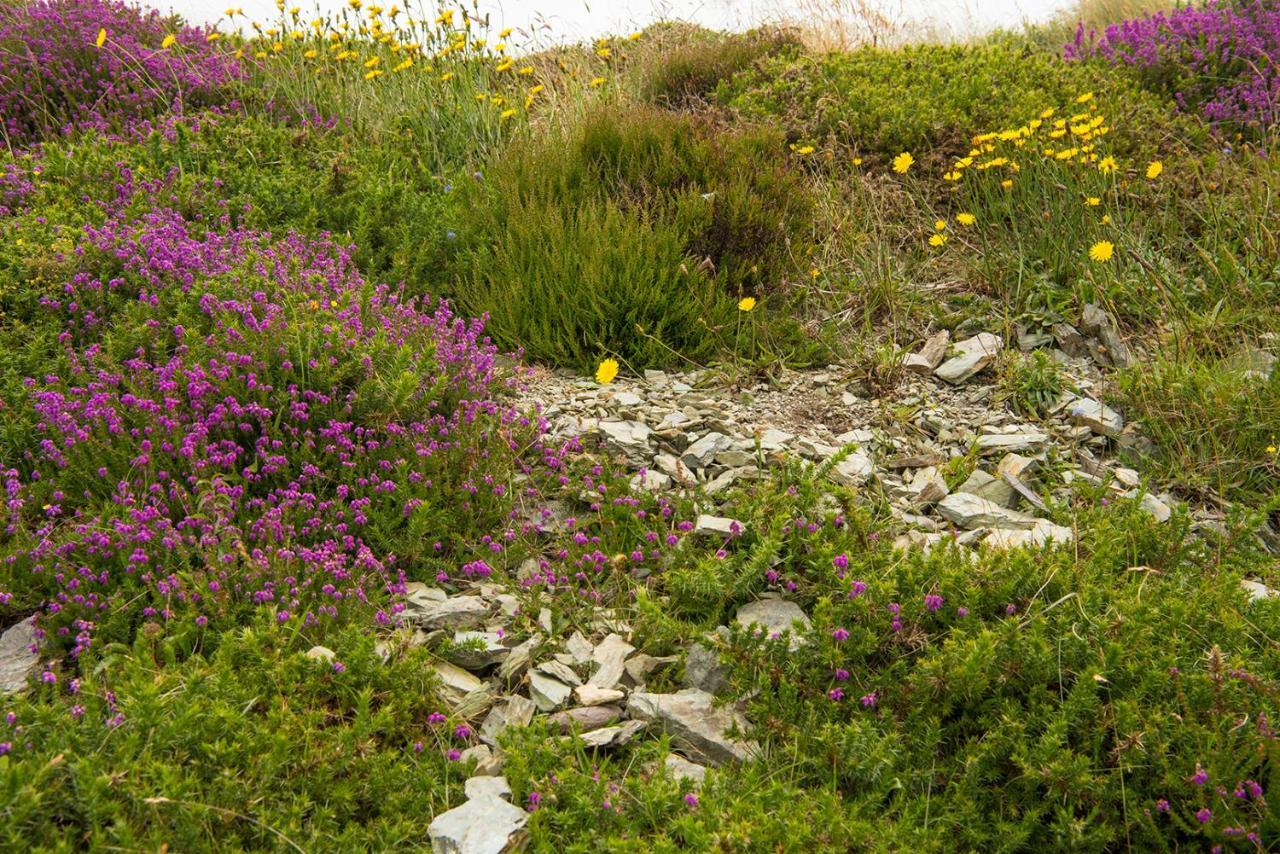 Ring Of Kerry - Einmaliger Blick Auf Skelligs Apartment Clynacartan ภายนอก รูปภาพ